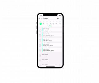 app-eingliederungshilfe-kalender